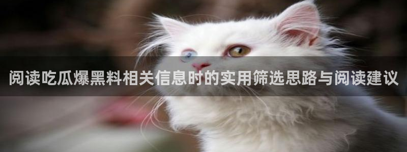 网络事件爆料网